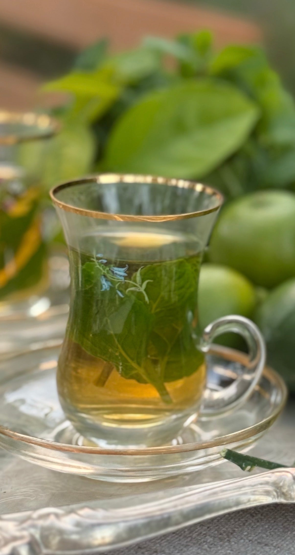 Objects: Art of a Tea Cup